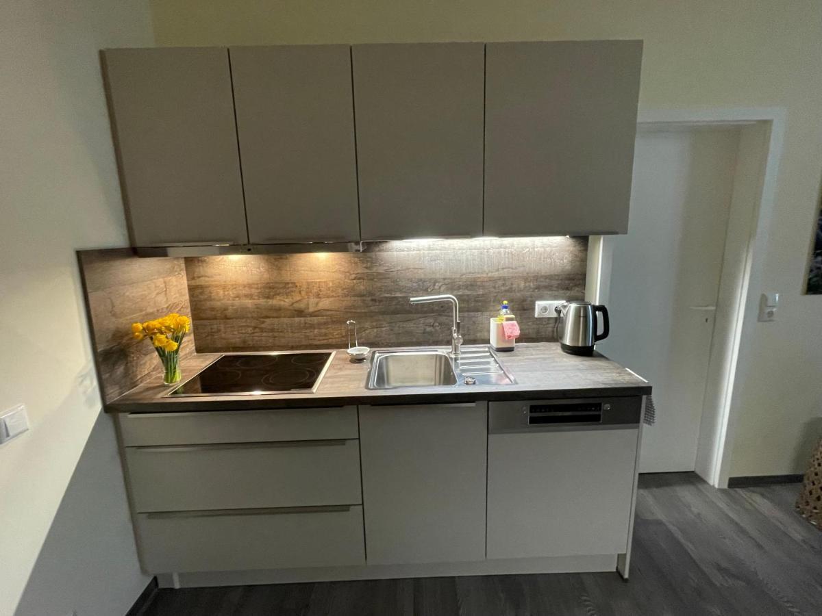 Elisabett Erfurt - Apartment Elisa - 4 Schlafzimmer Und 2 Baeder, Bis 6 Personen מראה חיצוני תמונה